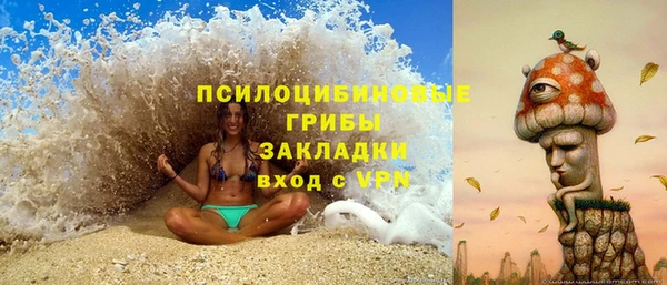 индика Беломорск
