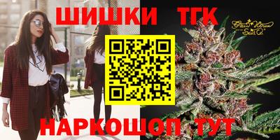 Альфа ПВП Моздок