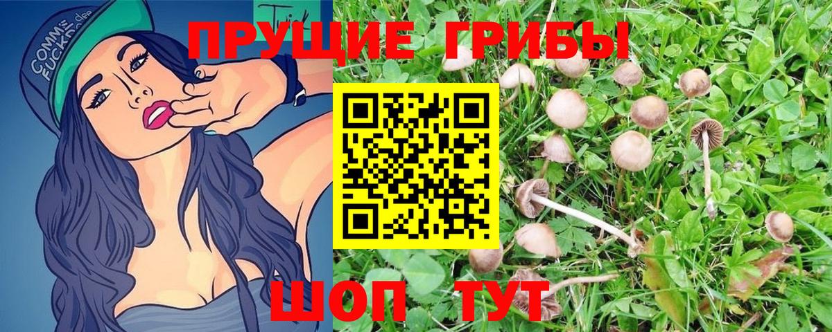 Белово  Псилоцибиновые грибы MAGIC MUSHROOMS  Вход с VPN 